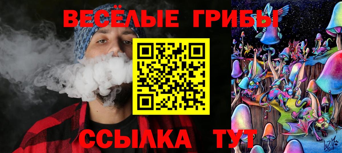 Галлюциногенные грибы мухоморы Павловский Посад